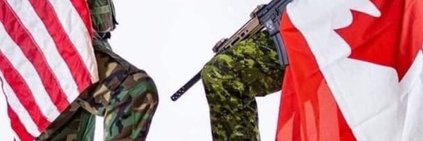 bee_cate Profile Banner