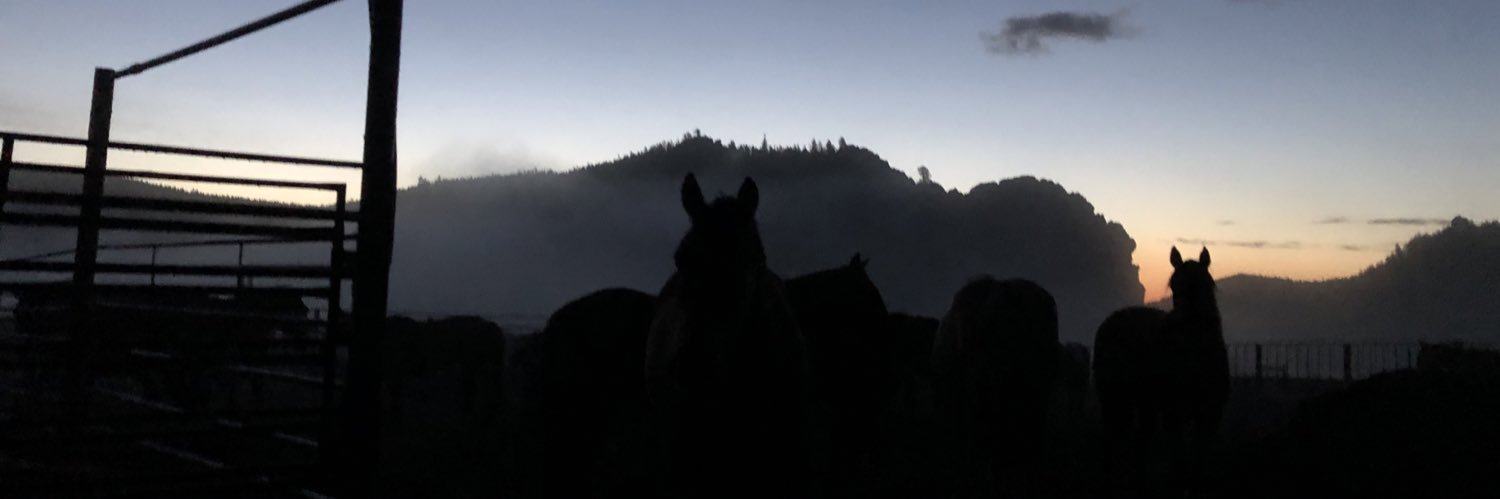 maceemad's profile banner image
