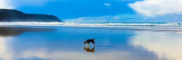 sugarplumNat Profile Banner