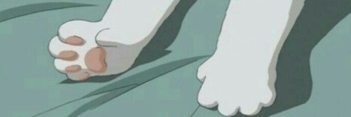 ꙳. banner