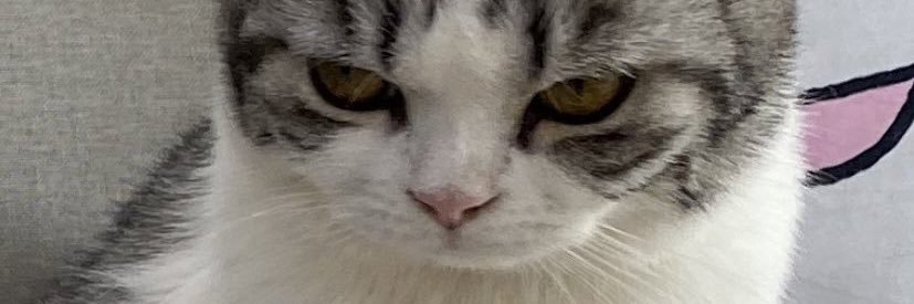 nnormonns's profile banner image