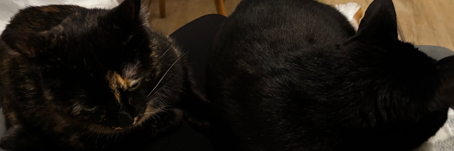 sugrrtalking's profile banner image