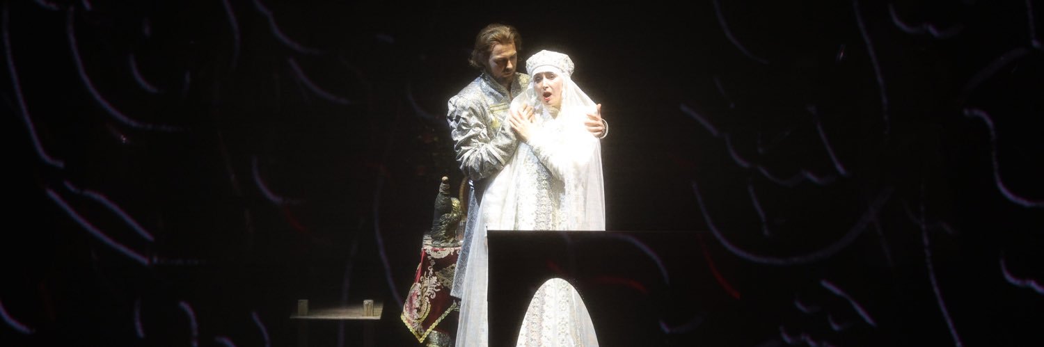 Mikhailovsky_en's profile banner image