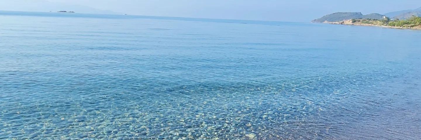 Elvan Can ÇABUK banner