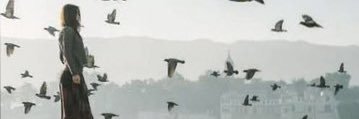 orkide05's profile banner image
