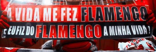 bffdami's profile banner image