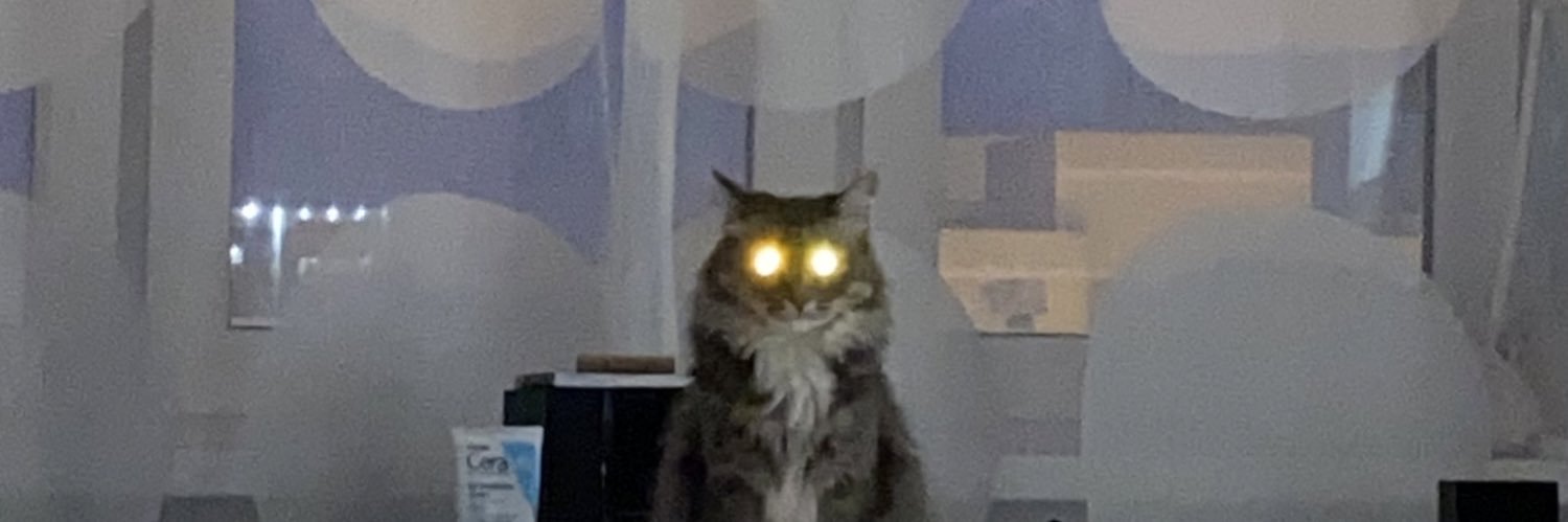 tammy swanson swanson banner