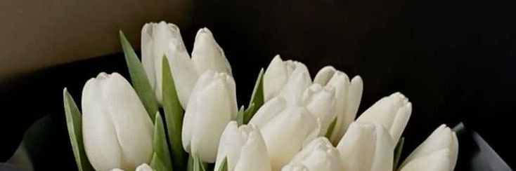 ❤︎ banner