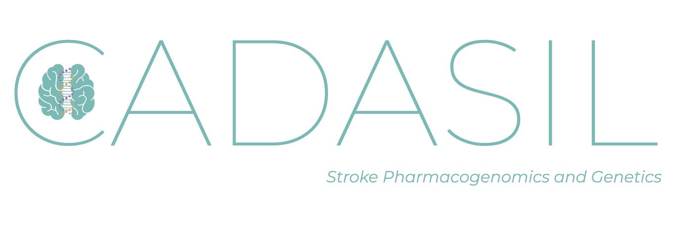 Elena Muiño MD PhD banner