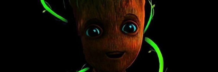 saraborges0's profile banner image