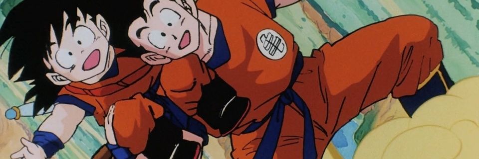i don't know 🇮🇪🇺🇸 banner