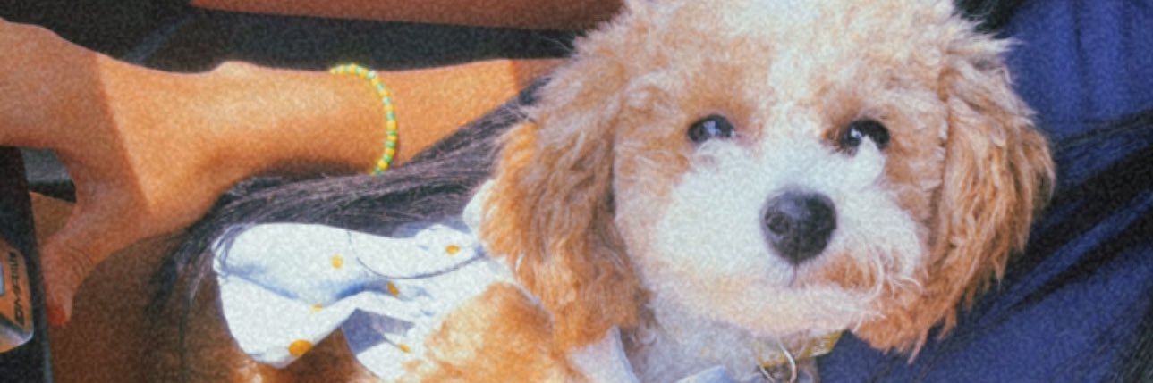 lindalynettee's profile banner image