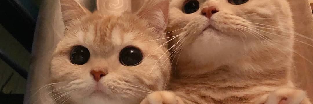 _eybi18's profile banner image