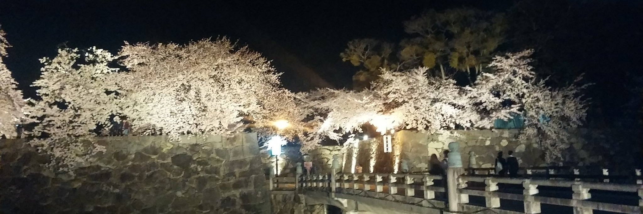 hide_fromhikari's profile banner image
