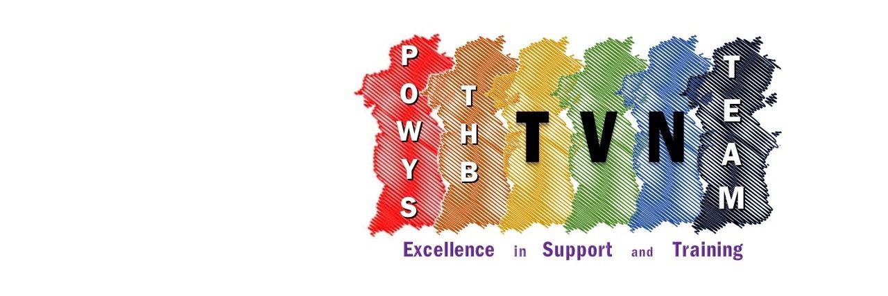 Powys Tissue Viability banner
