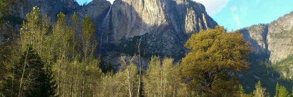 nofutureb Profile Banner