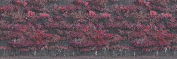 Slimetutoryalz_ Profile Banner