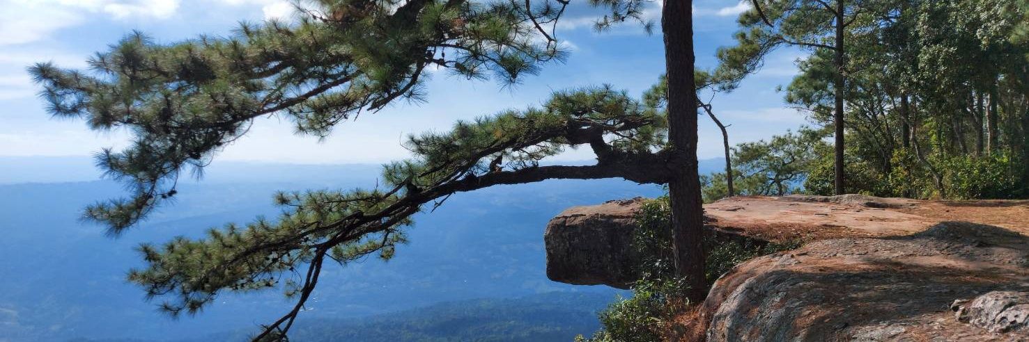 ส.ต.สมชาย Cavalry banner