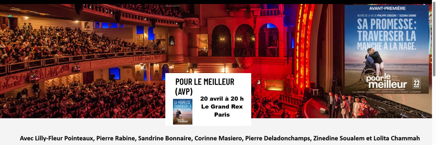 Philippe Croizon banner