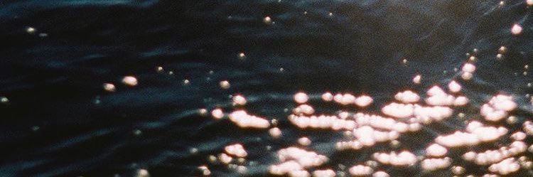 fuck it hurt banner