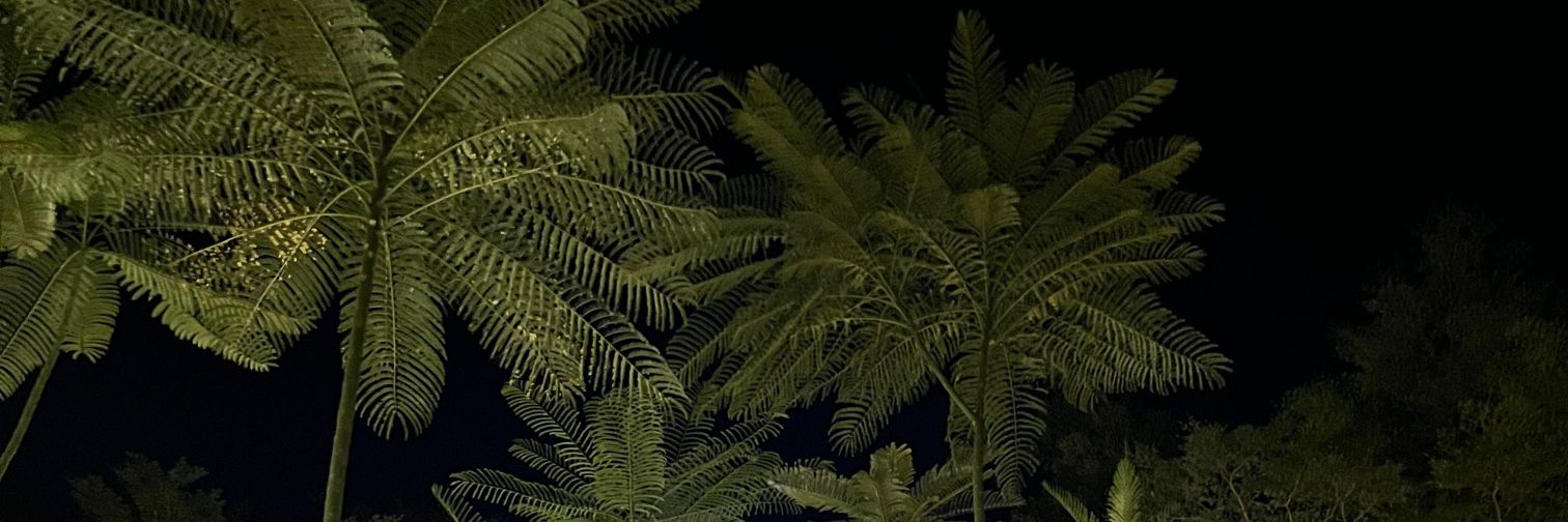 alexaakey1's profile banner image