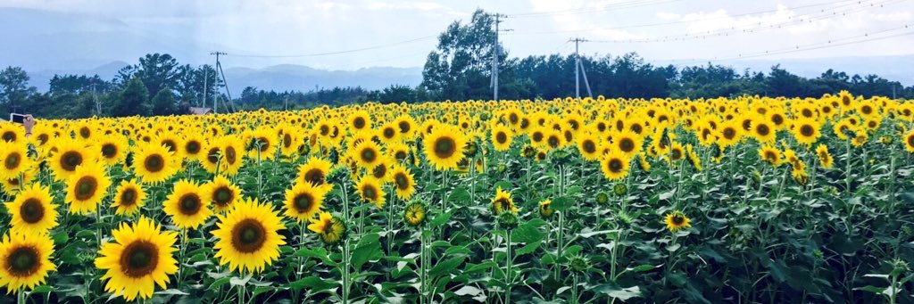 iso_hi's profile banner image
