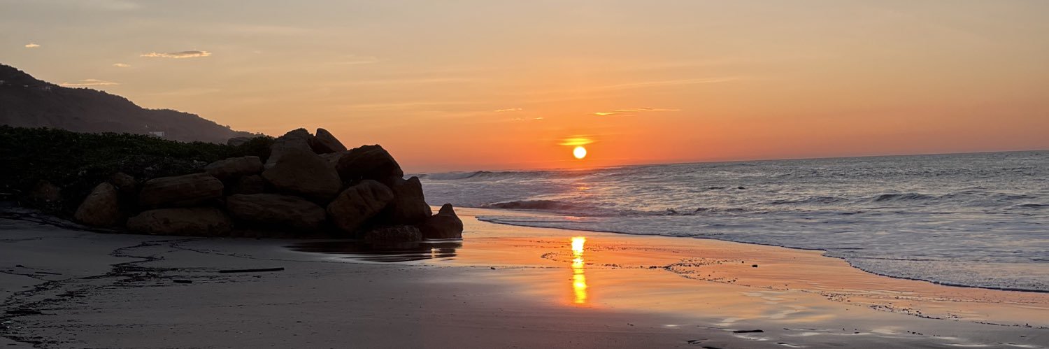 αlexis Fαjαrdo banner