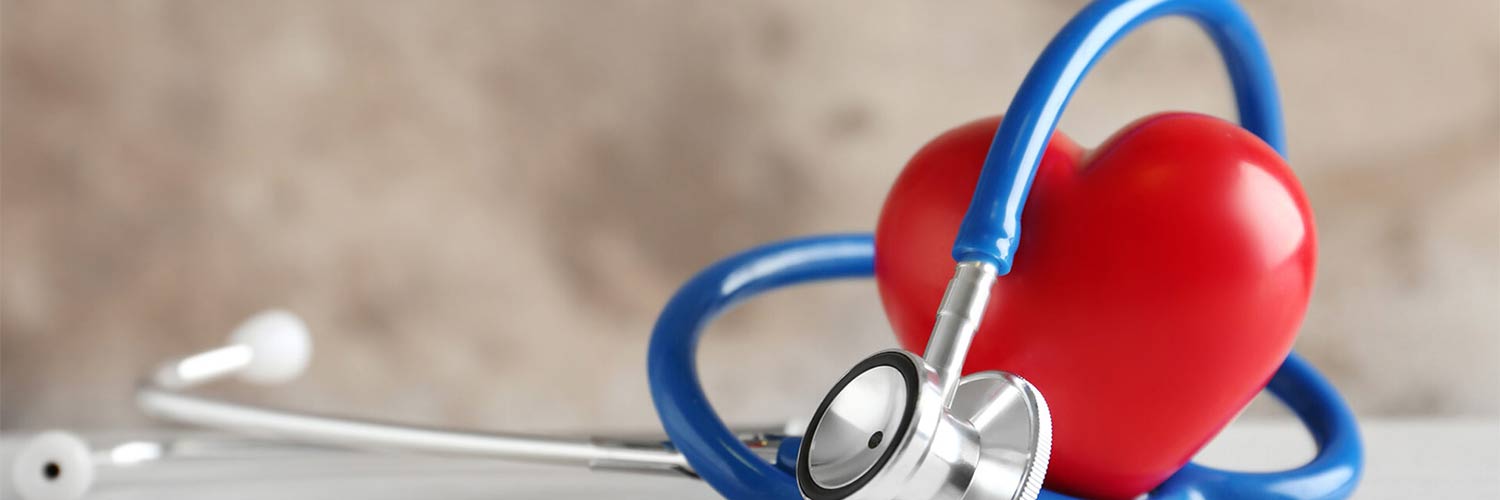 Minnesota Council of Health Plans banner