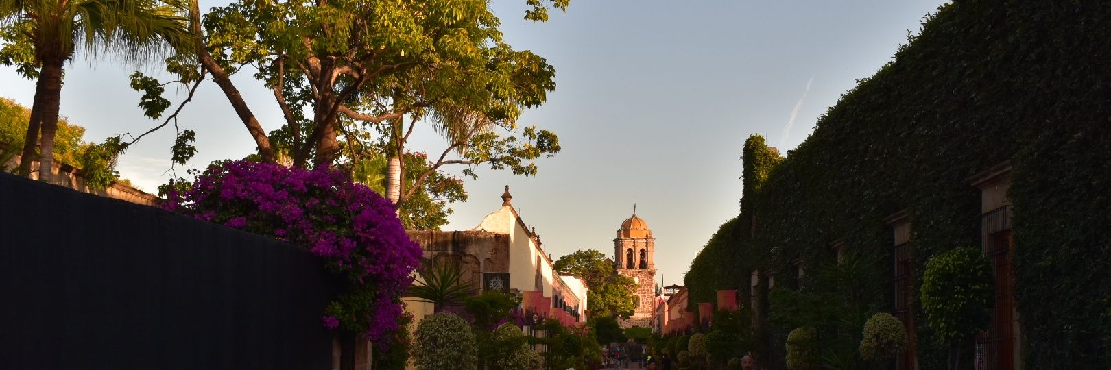 Angel Sebastián Quintana banner