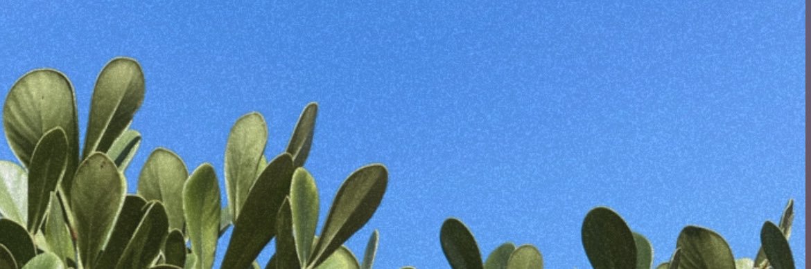 erikaguerrra's profile banner image
