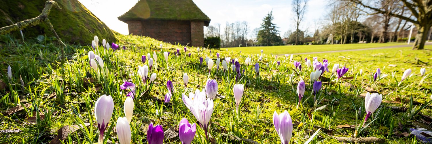 Basingstoke Council banner