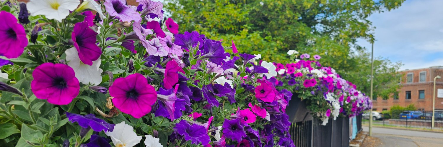 BasingstokeGov's profile banner image