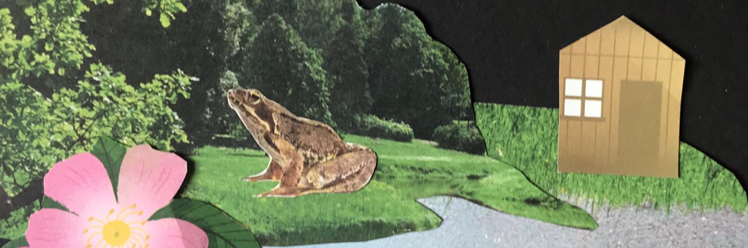 Daniel O’Sullivan banner