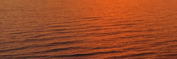 NeeraNathanMD Profile Banner