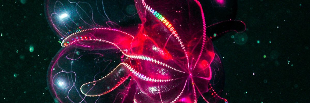 concretecorsair's profile banner image