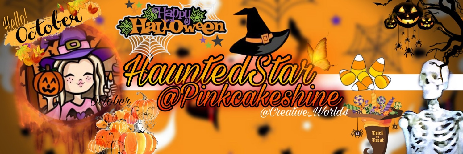 TwinkleStar💫💞 banner