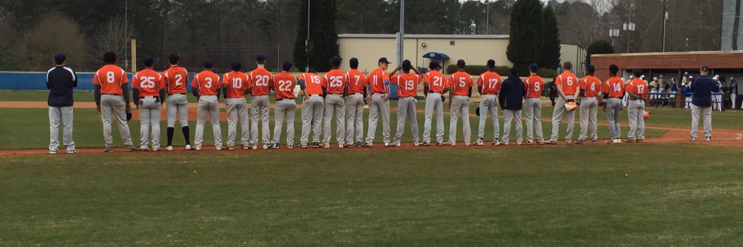 South Cobb Baseball banner