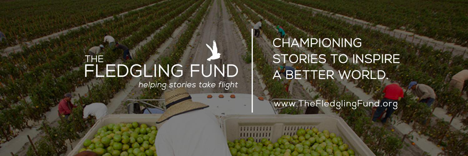 The Fledgling Fund banner