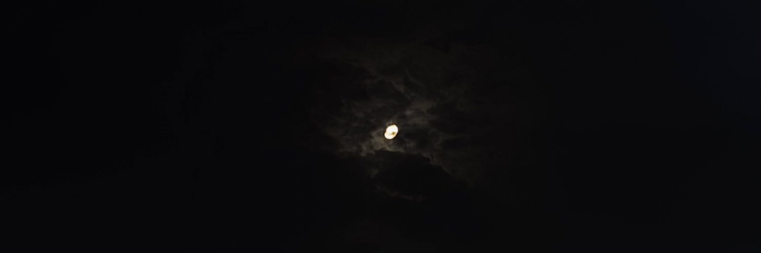 𝓢 banner