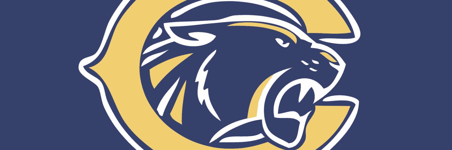 Collingswood Softball banner