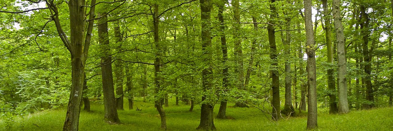 AudeladeVanves's profile banner image