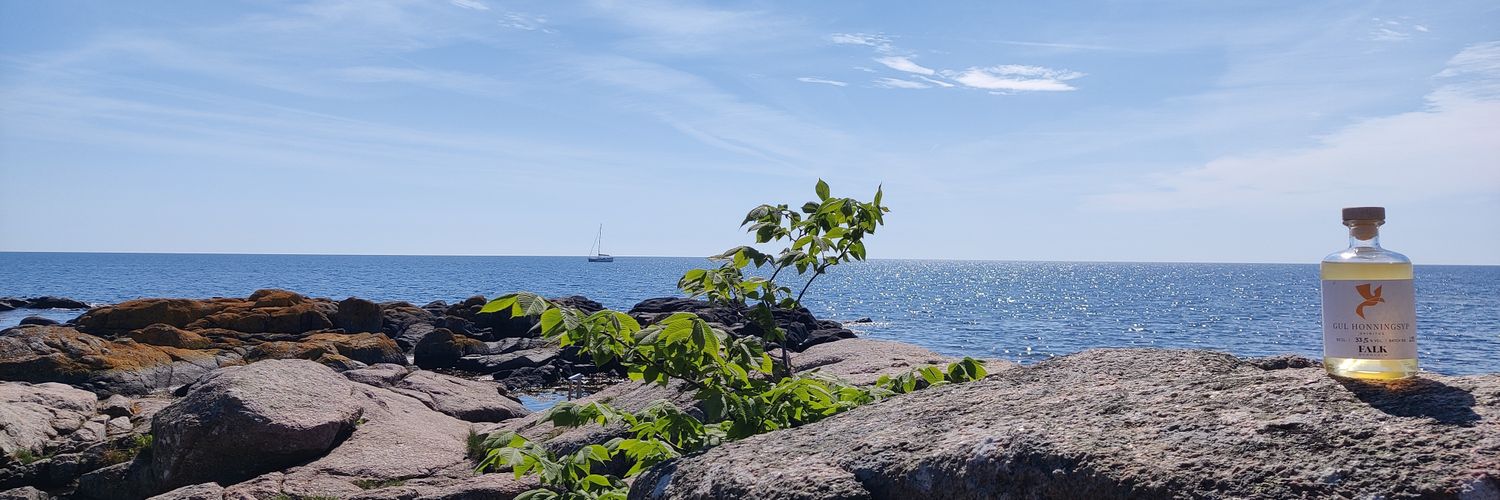 Falk_Bornholm's profile banner image