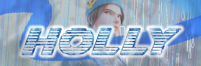 Holly1xFN's profile banner image