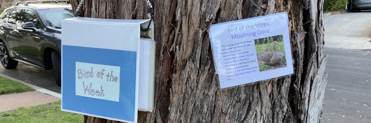 emily rahhal she/her banner