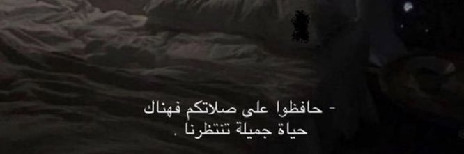 ابوطالب🫁. banner