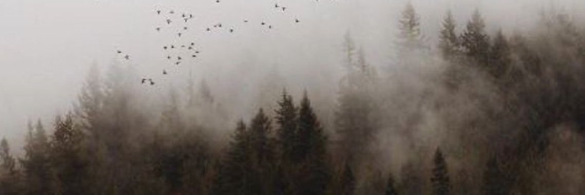 9M5_1's profile banner image