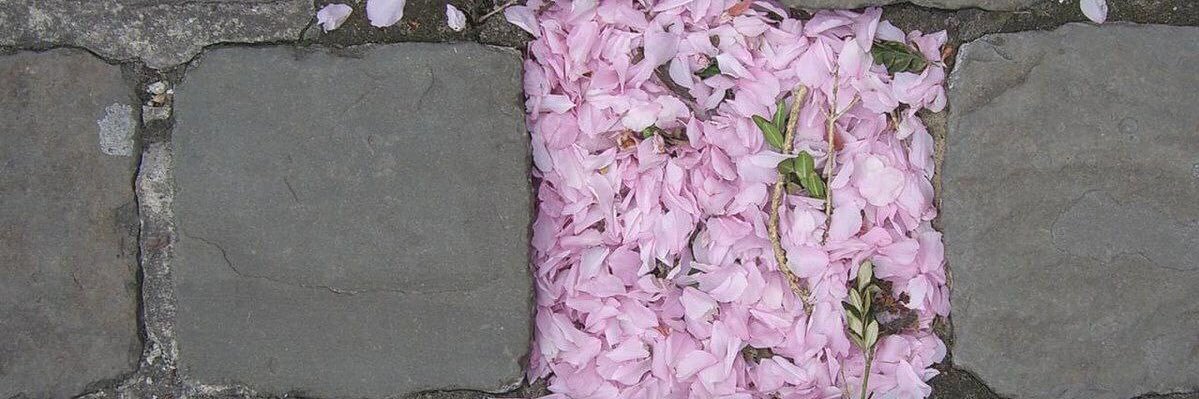 JwanGolden's profile banner image