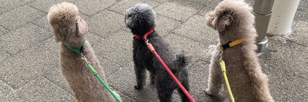 Think_D Profile Banner