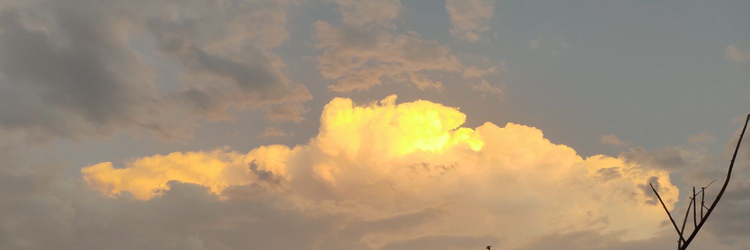 italissimo's profile banner image