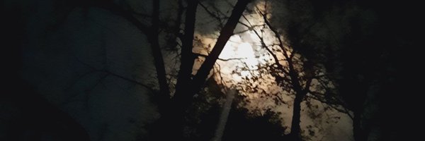 JacobBeaver13 Profile Banner